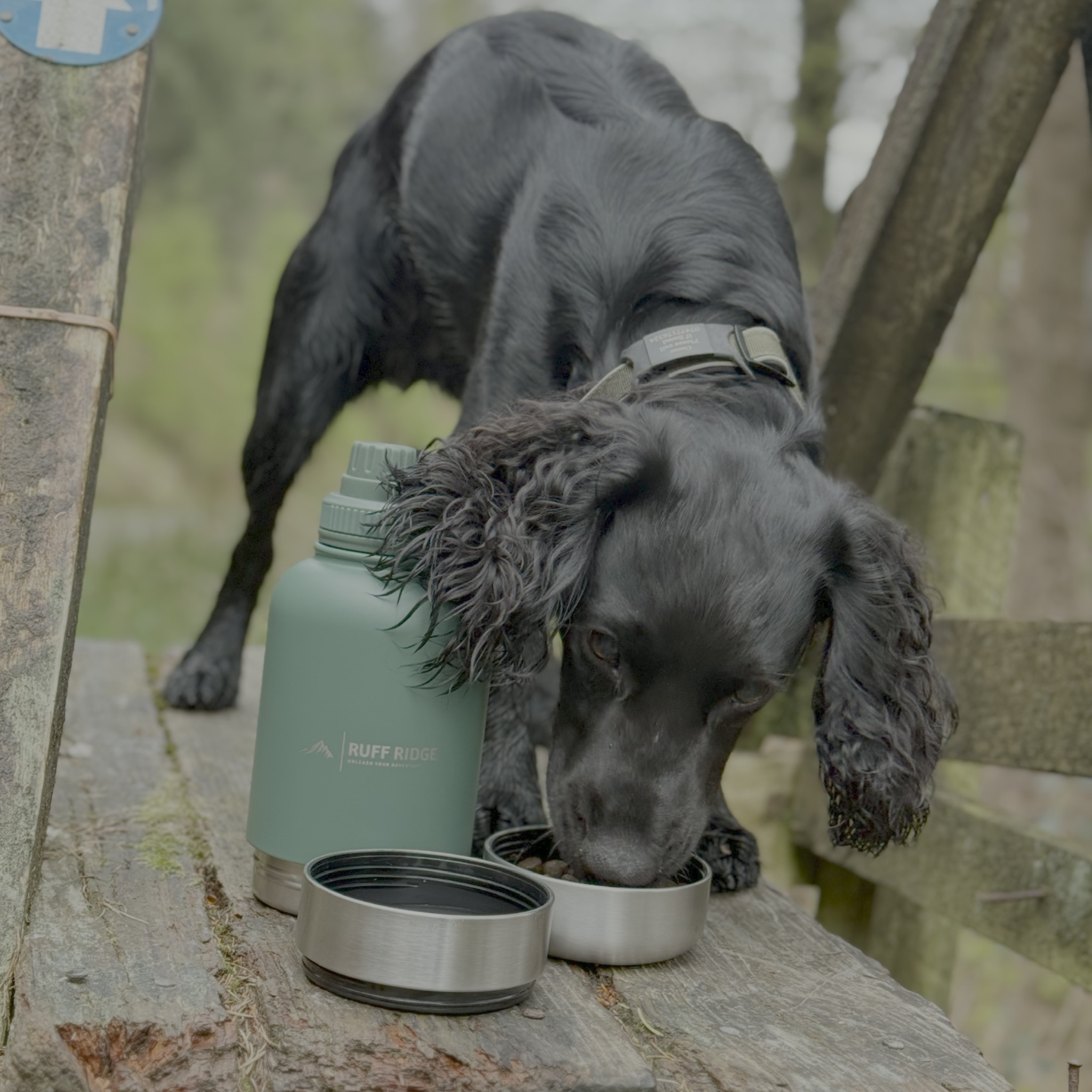 Ruff 'N' Go™ 3-in-1 Bottle