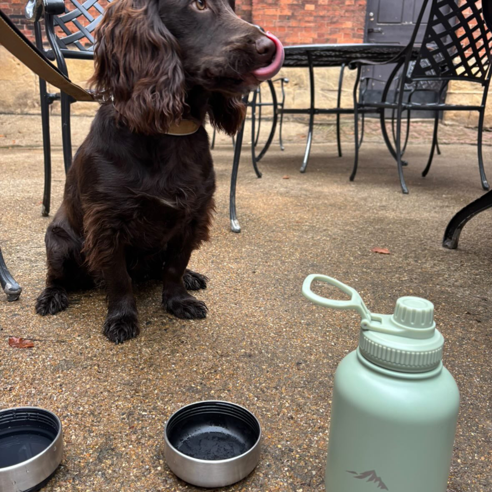 Ruff 'N' Go™ 3-in-1 Bottle