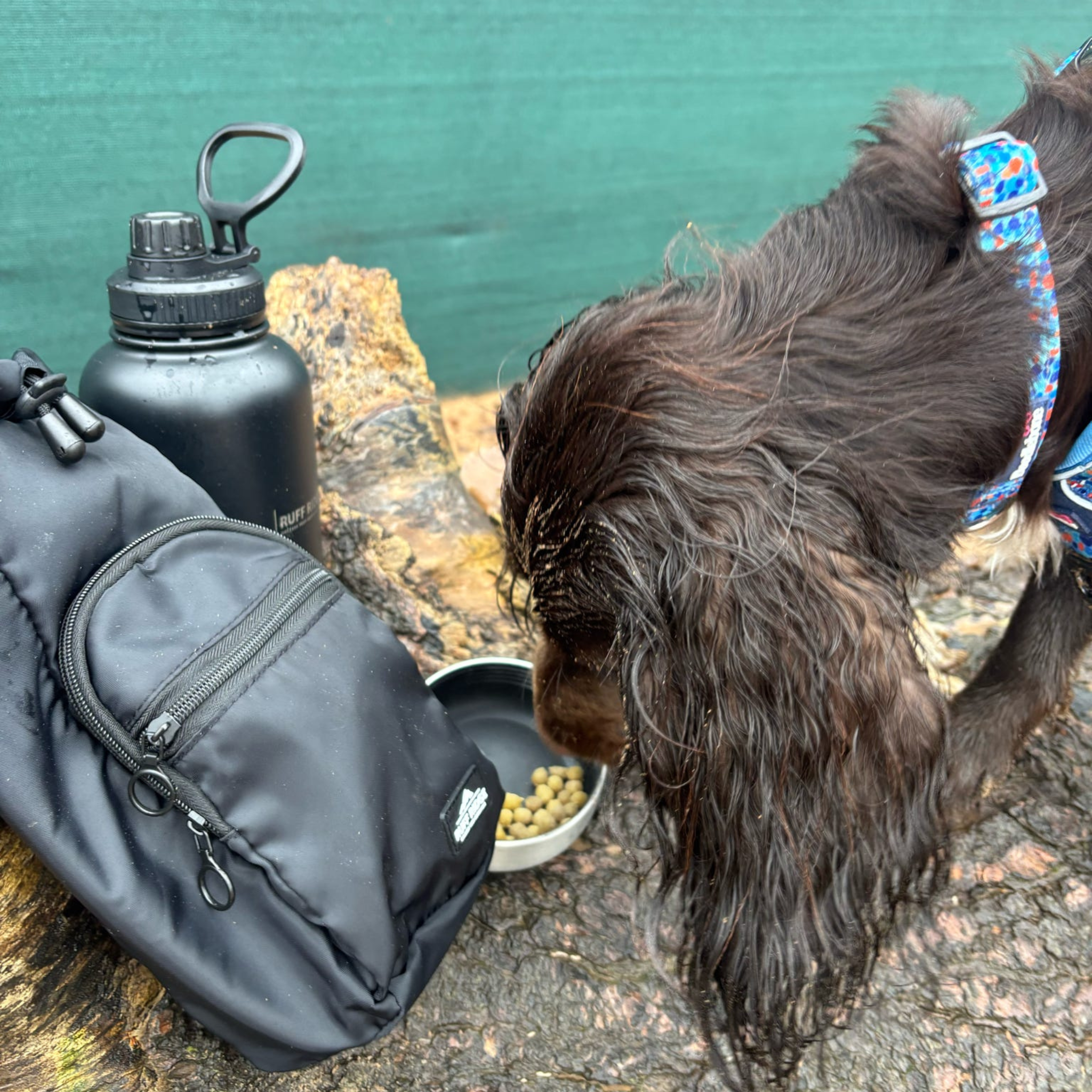 Ruff 'N' Go™ 3-in-1 Bottle