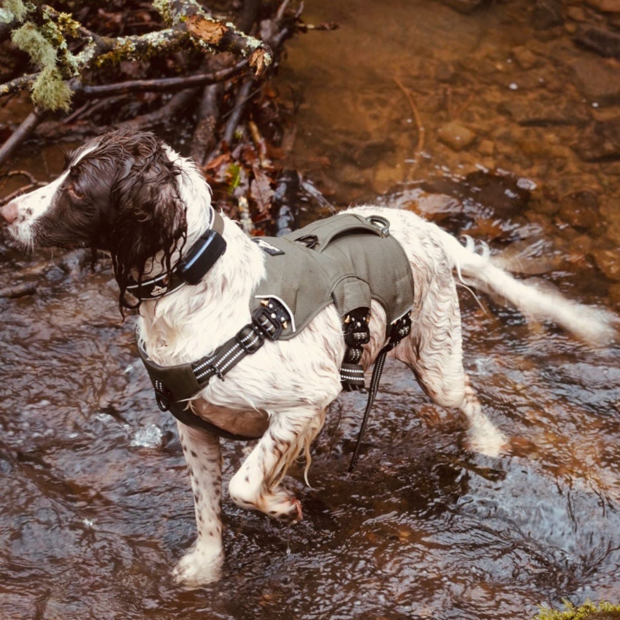 Expedition PRO™ Harness PREORDER