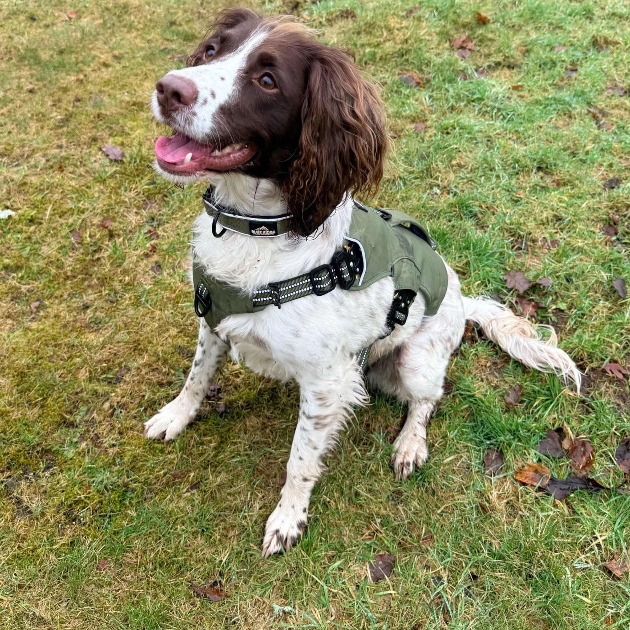 Expedition PRO™ Harness PREORDER