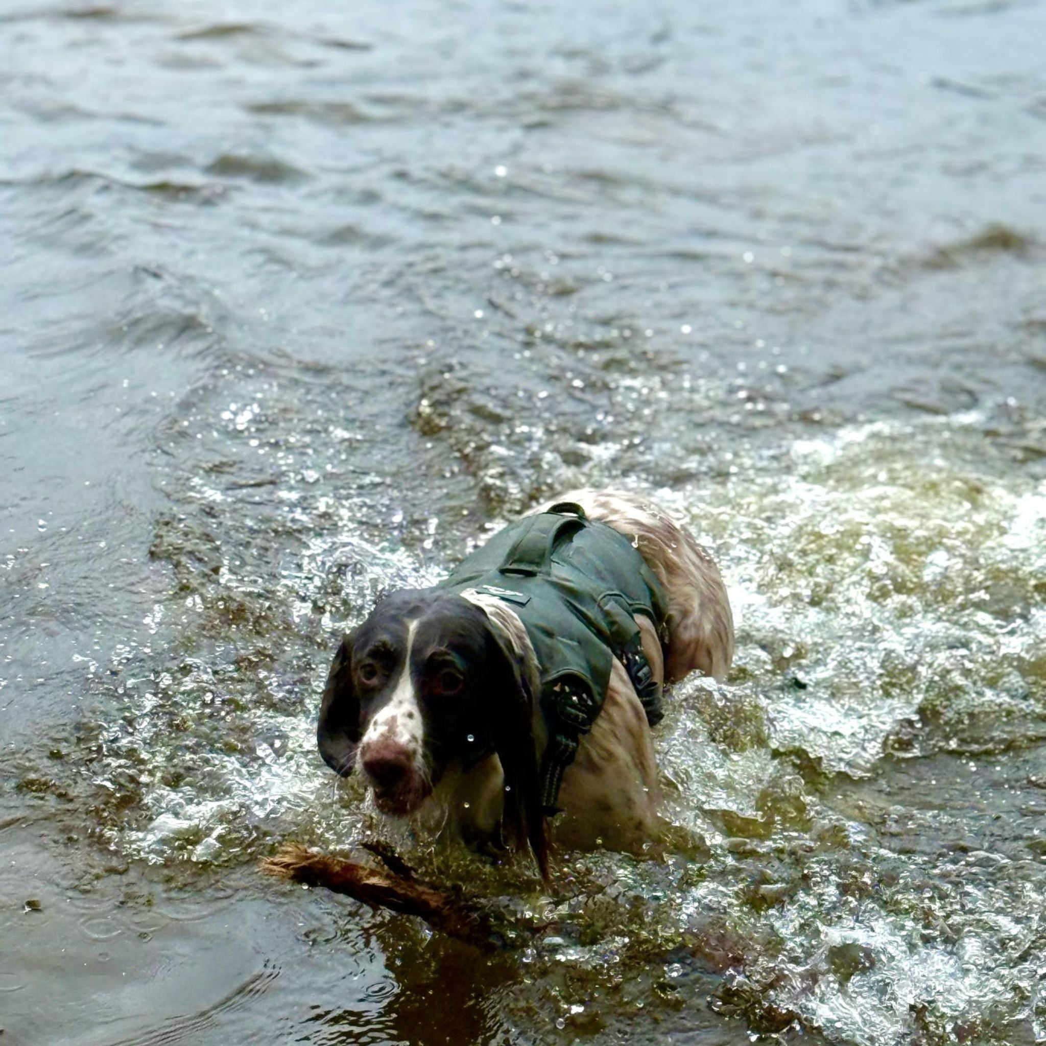 Expedition PRO™ Harness PREORDER