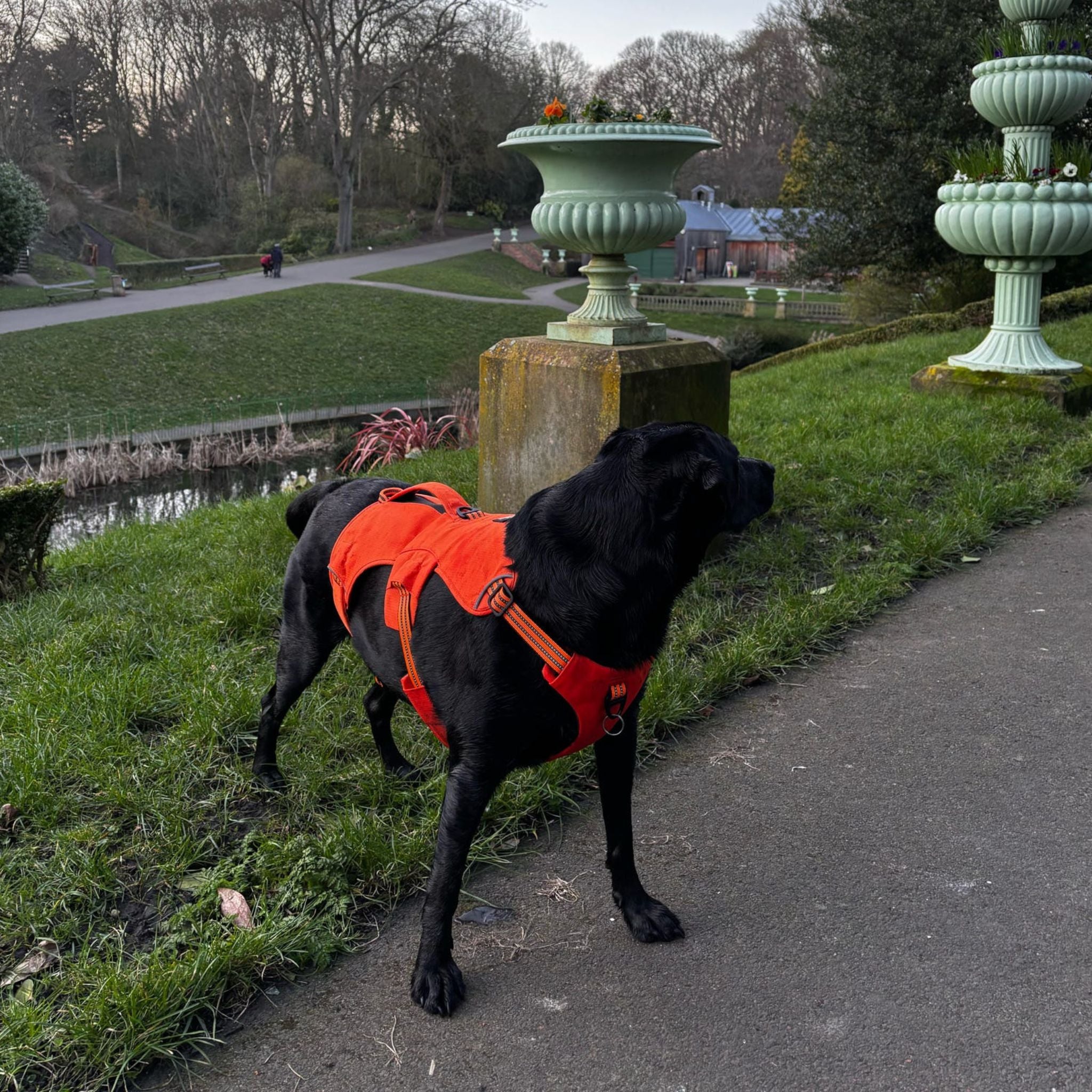 Expedition PRO™ Harness PREORDER