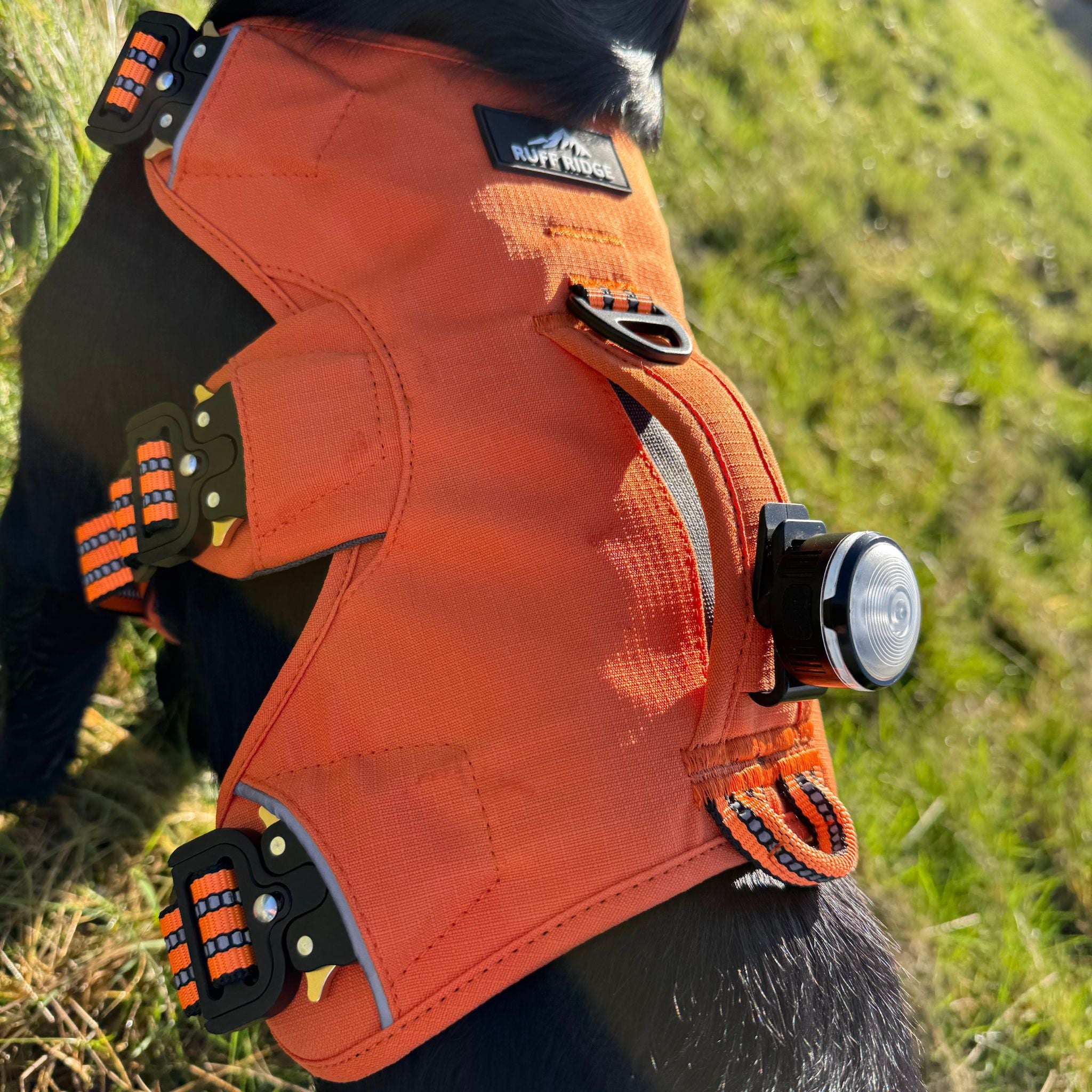 Expedition PRO™ Harness PREORDER