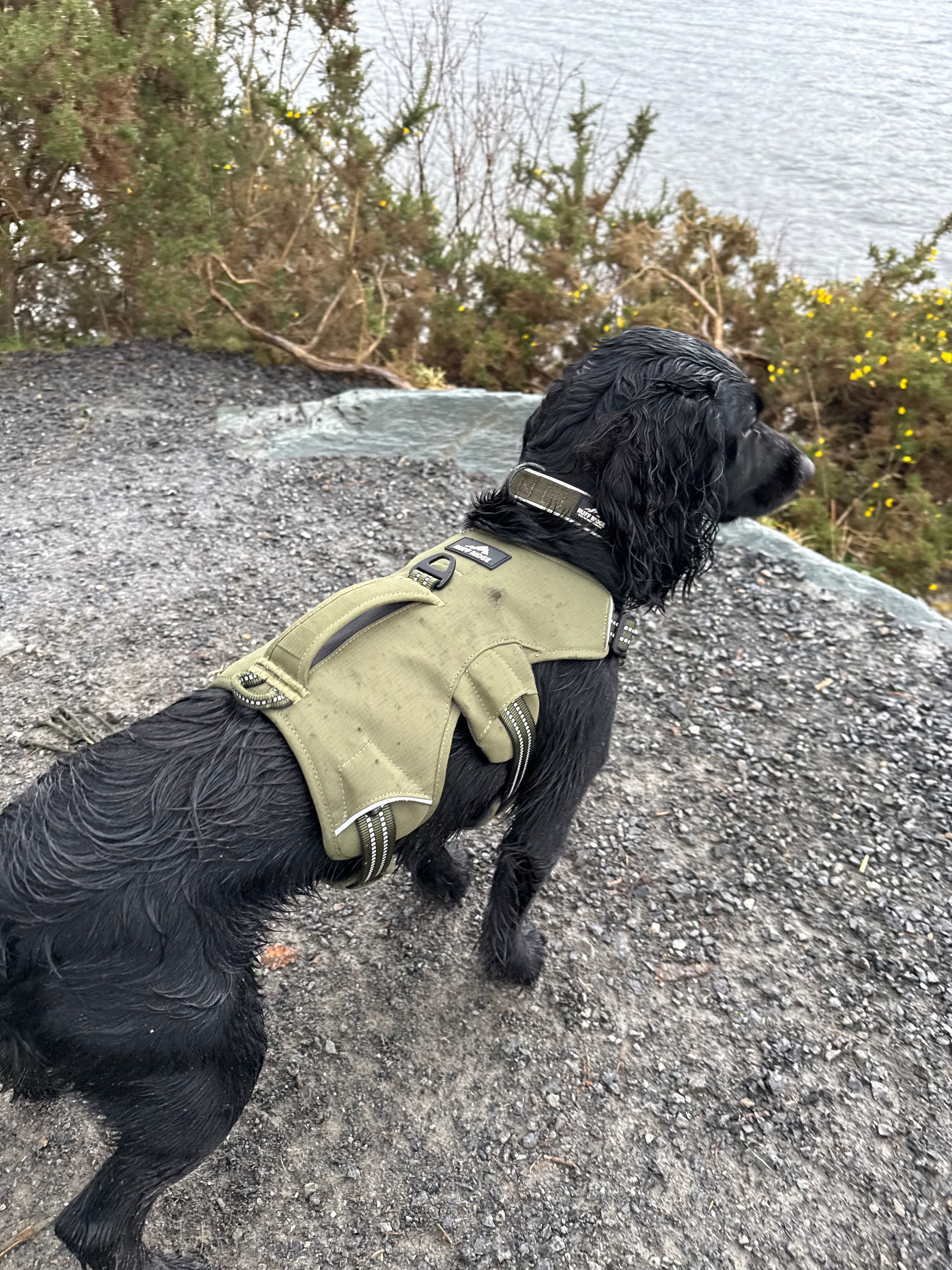 Expedition PRO™ Harness
