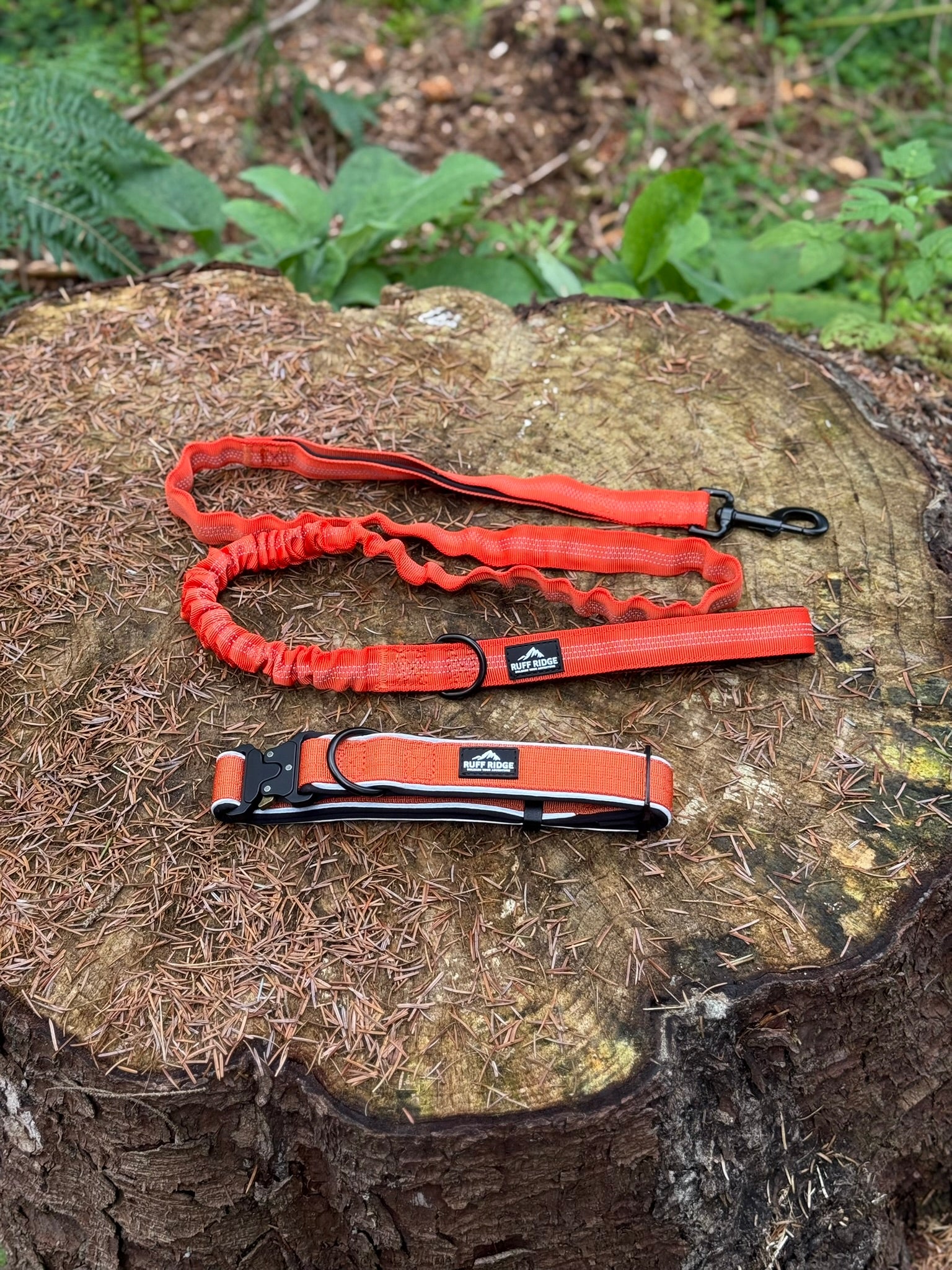 Trail Mate™ Collar