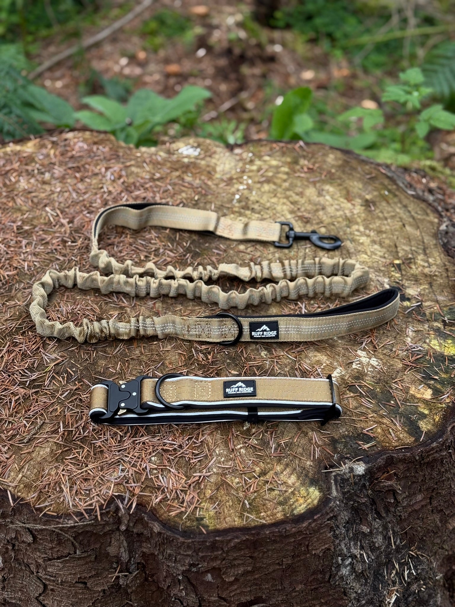 Trail Mate™ Collar