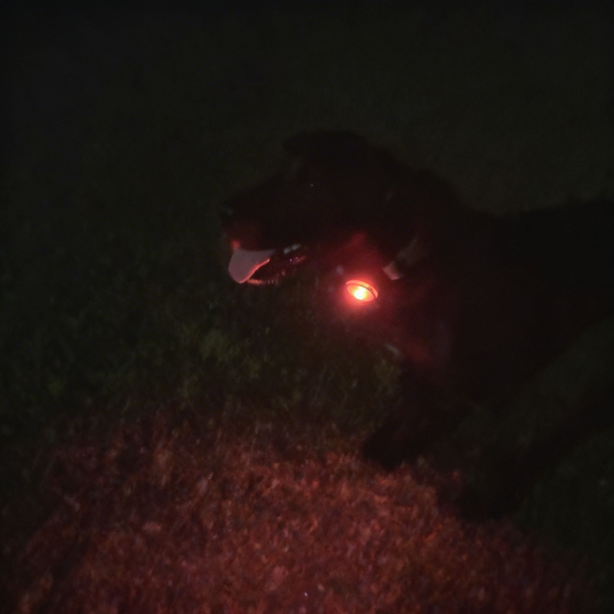 Trail Beam™ Light