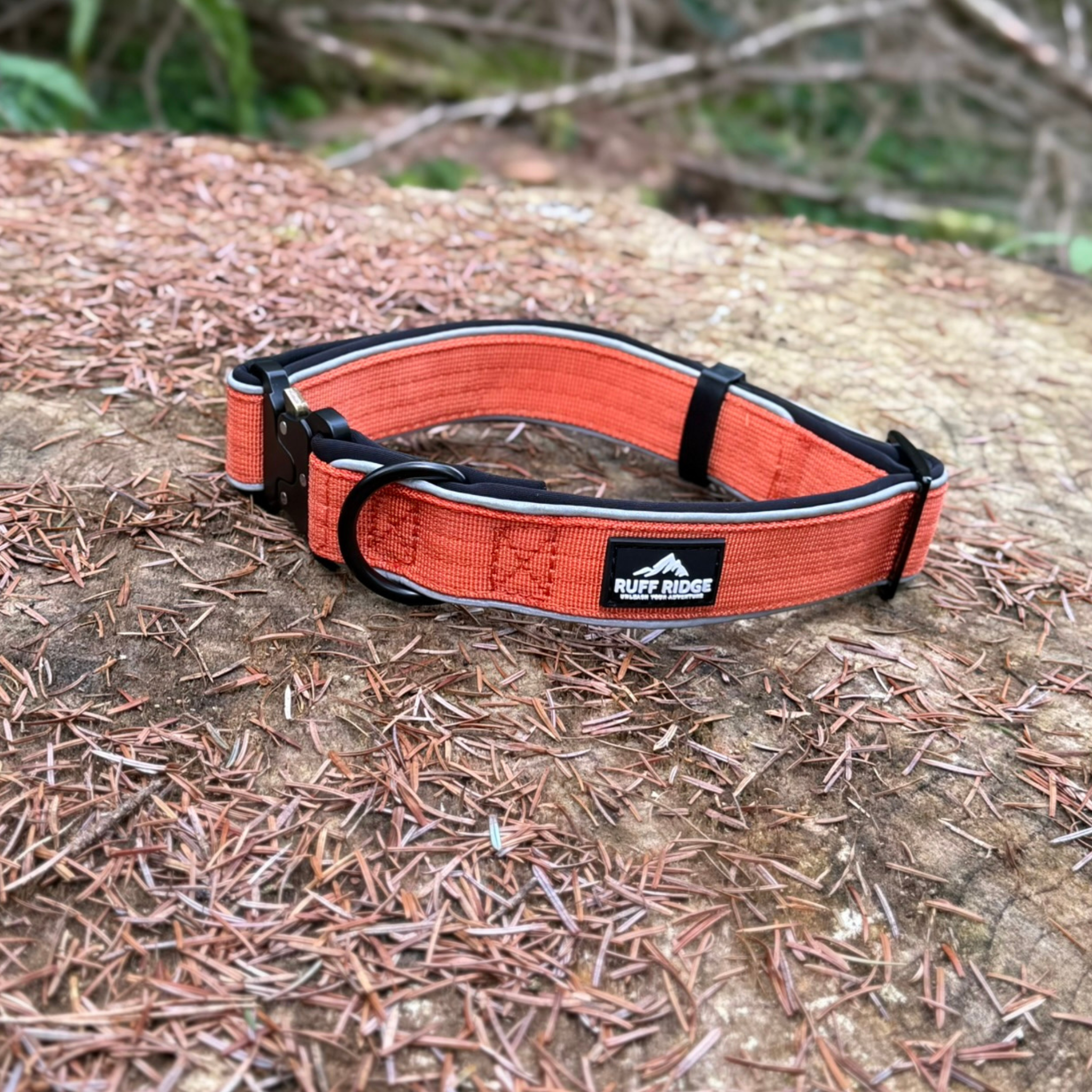 Trail Mate™ Collar