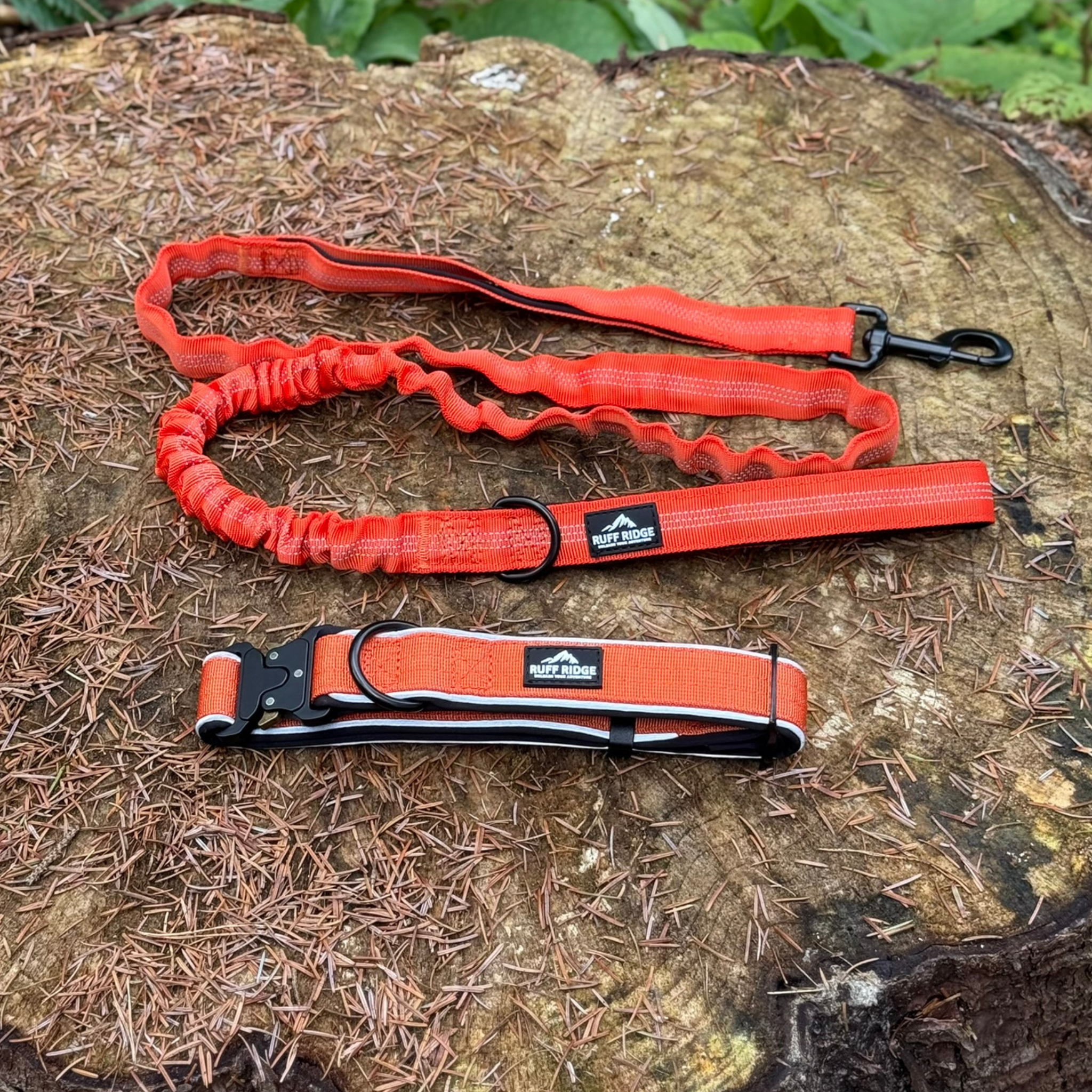 Trail Mate™ Collar