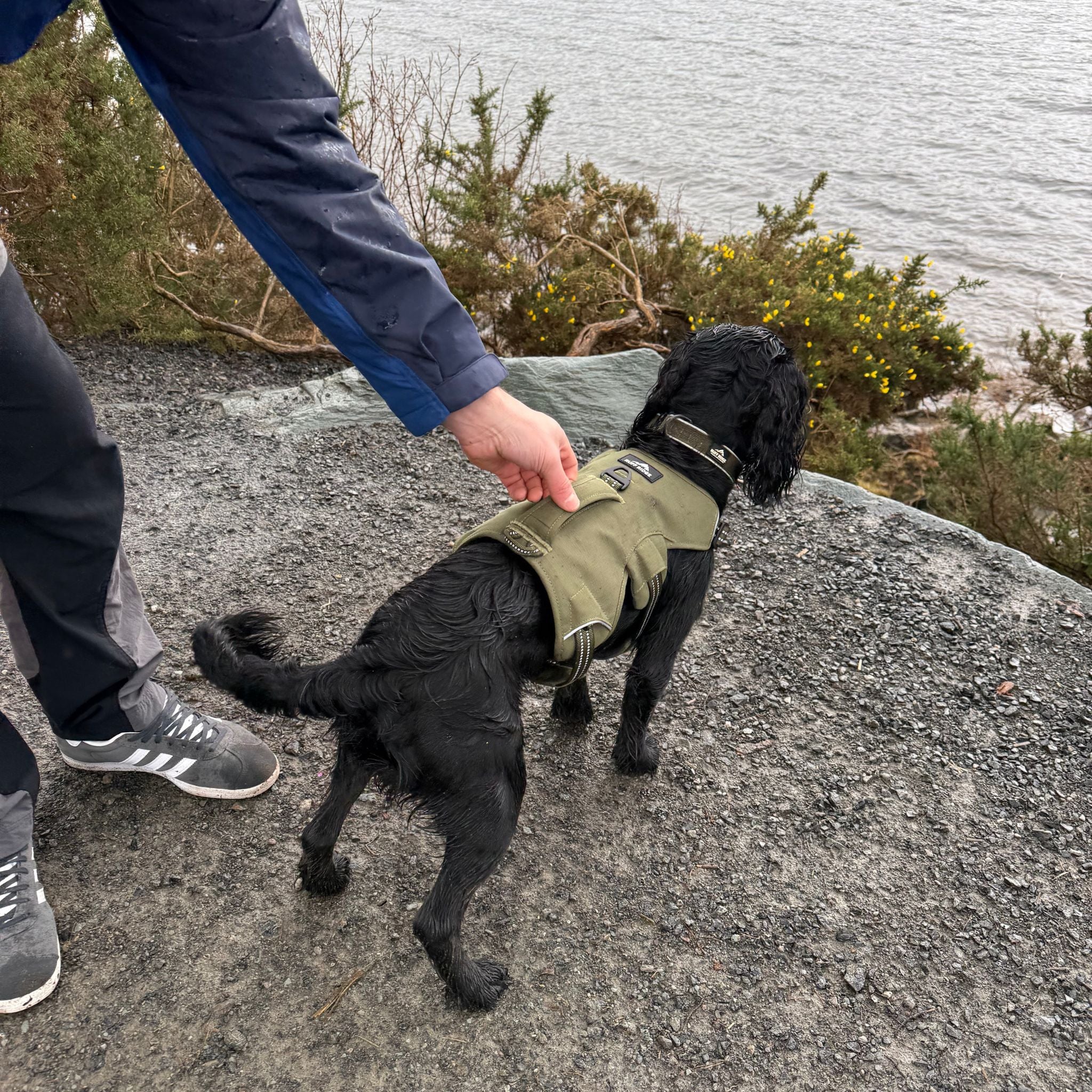 Expedition PRO™ Harness PREORDER