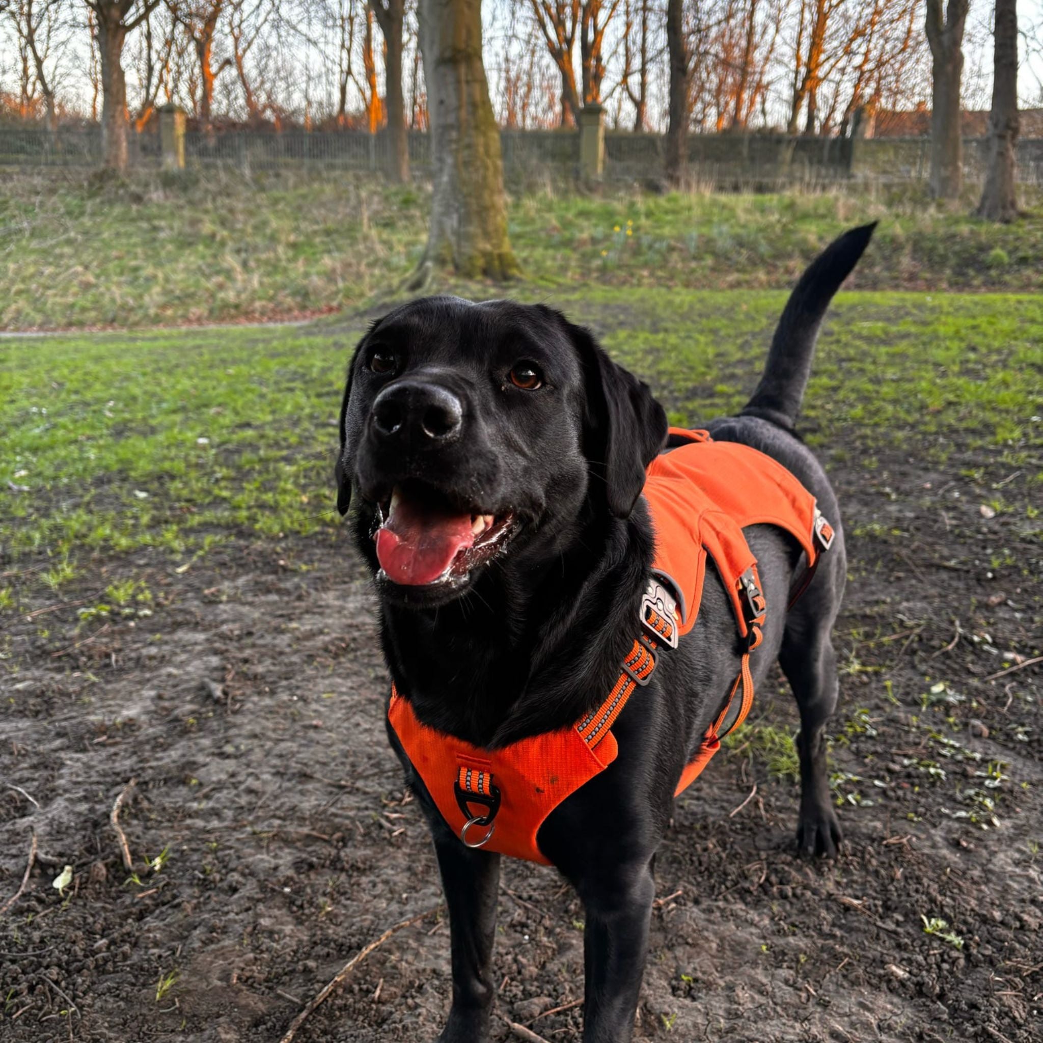 Expedition PRO™ Harness PREORDER