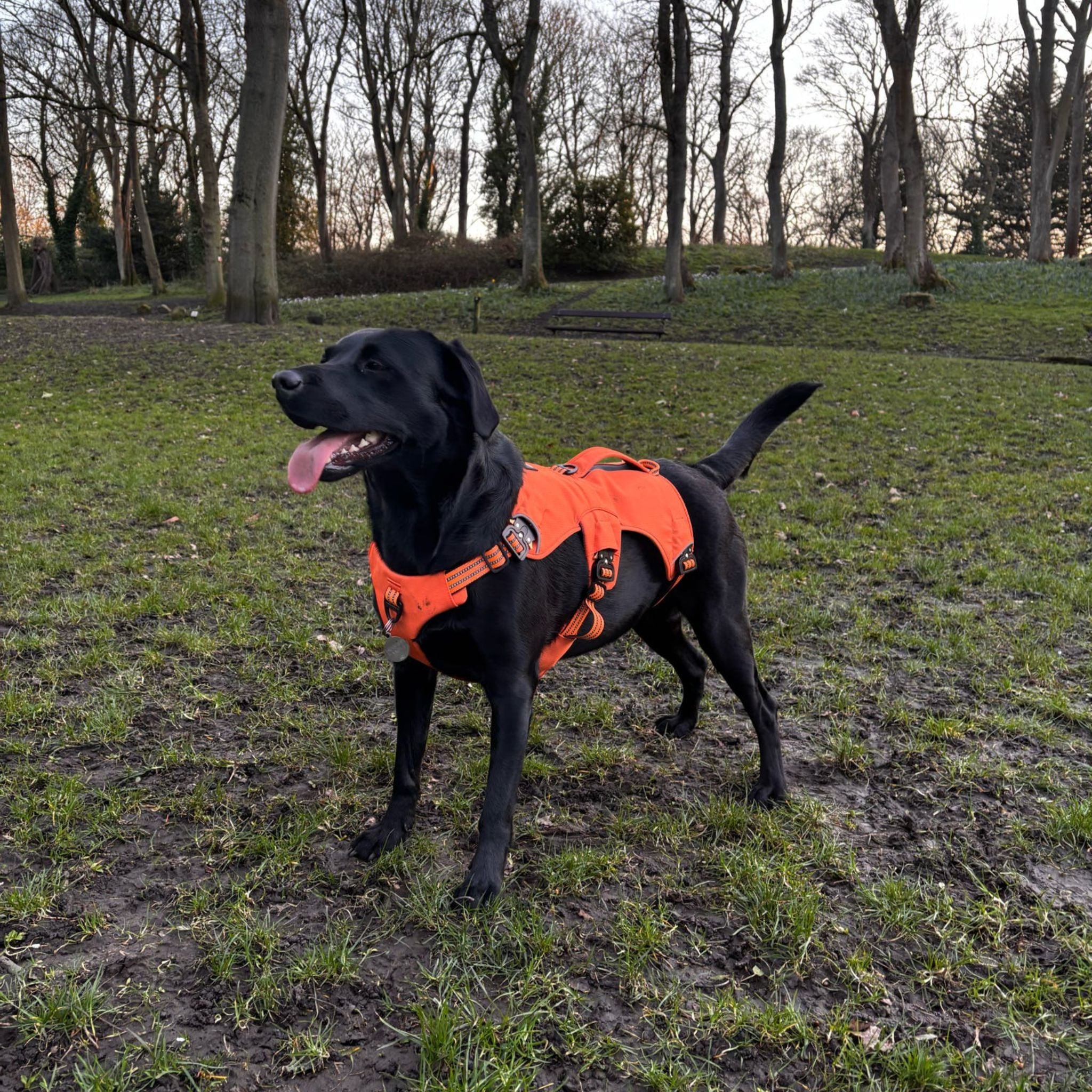 Expedition PRO™ Harness PREORDER