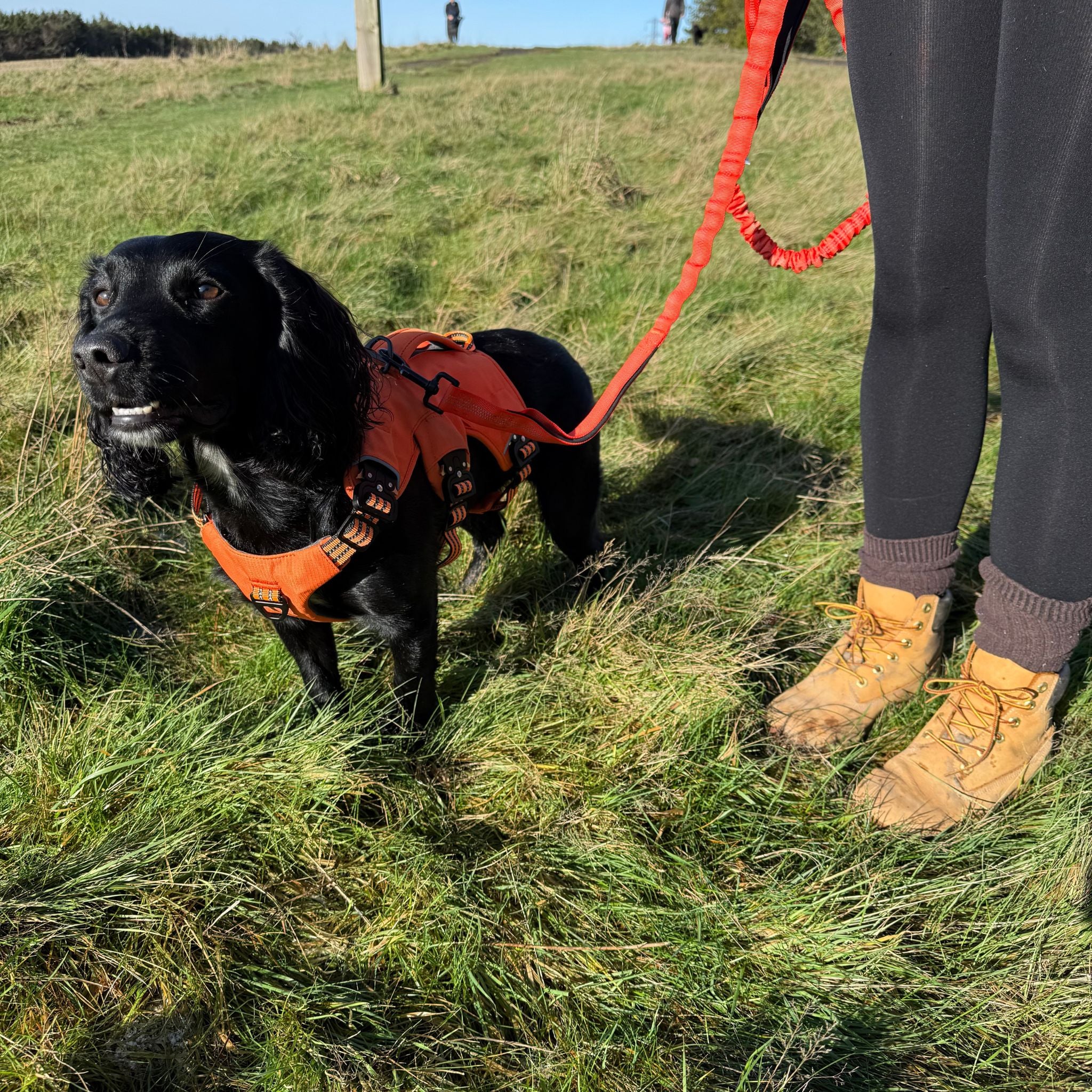 Expedition PRO™ Harness PREORDER