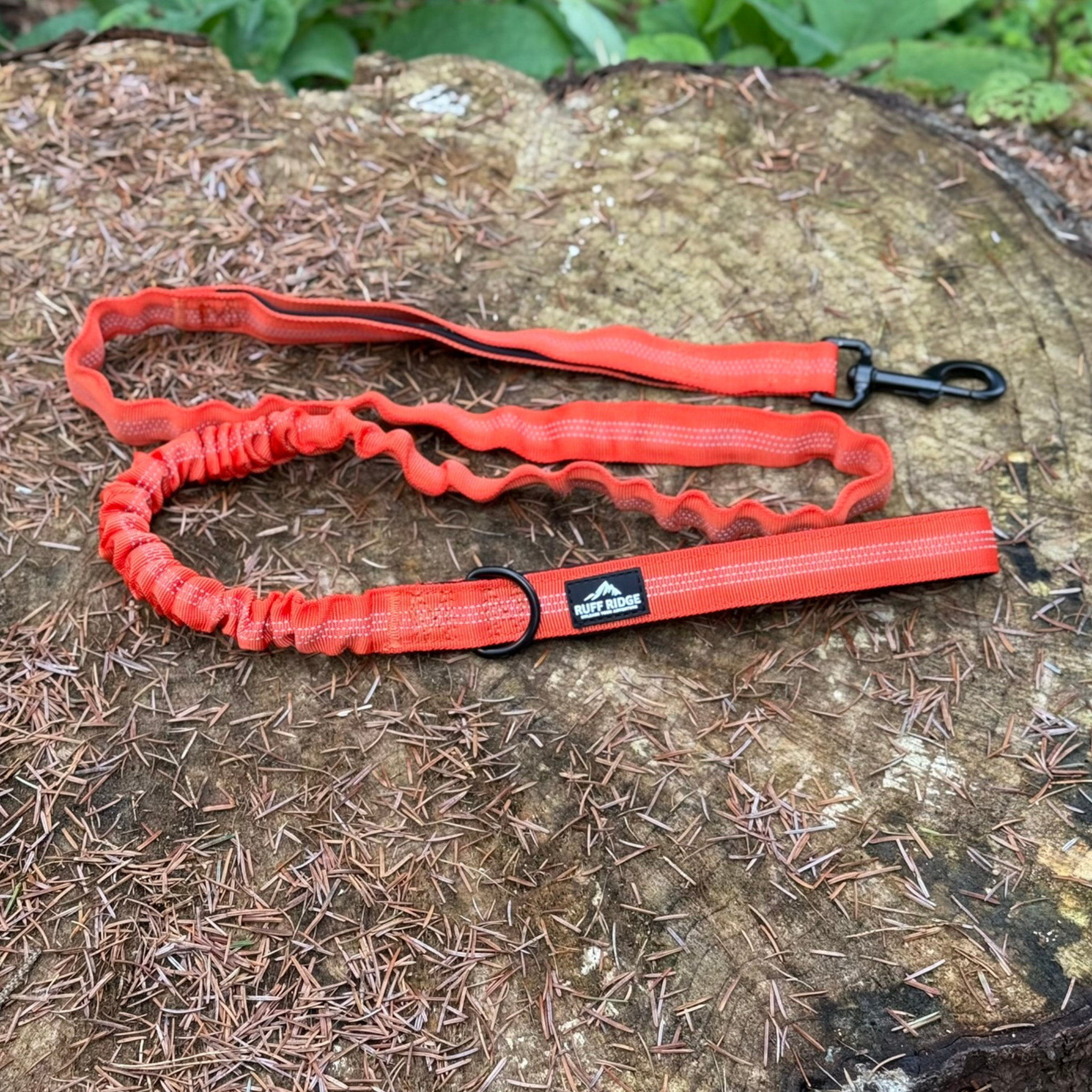 Trail Mate™ Lead