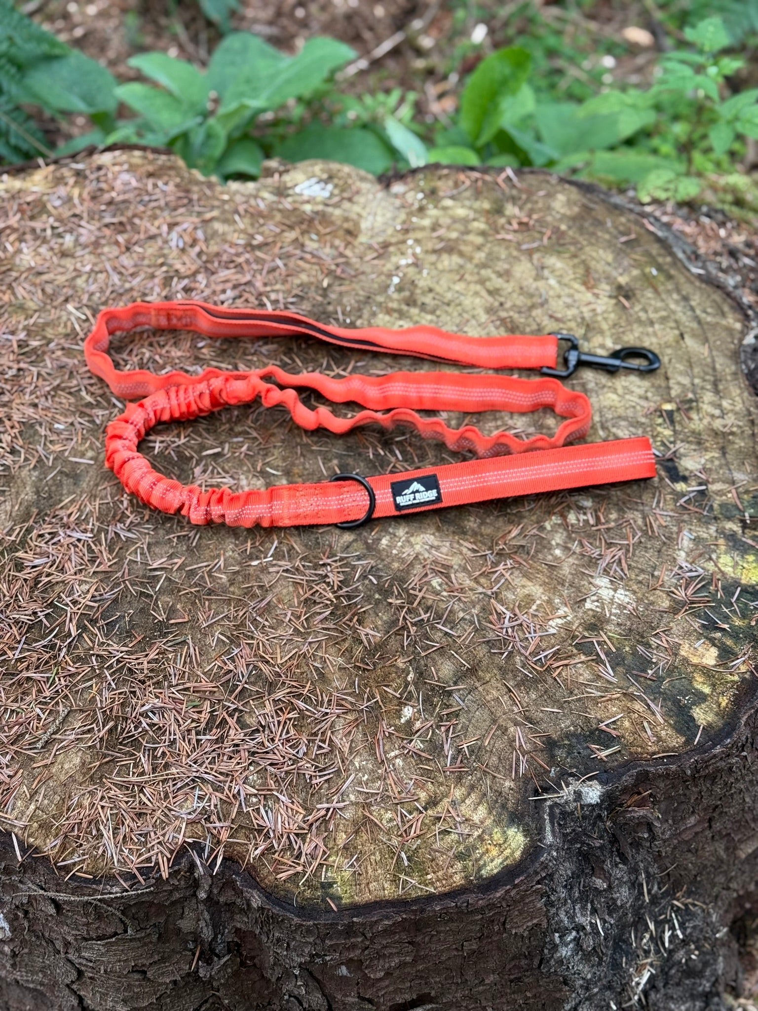 Trail Mate™ Lead