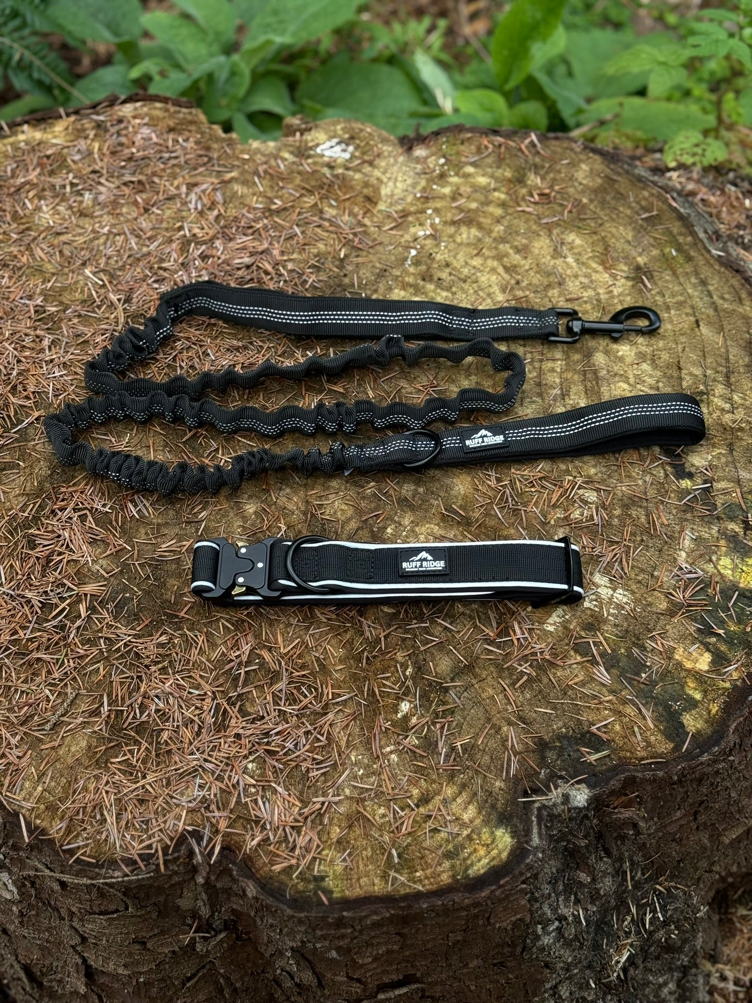 Trail Mate™ Collar