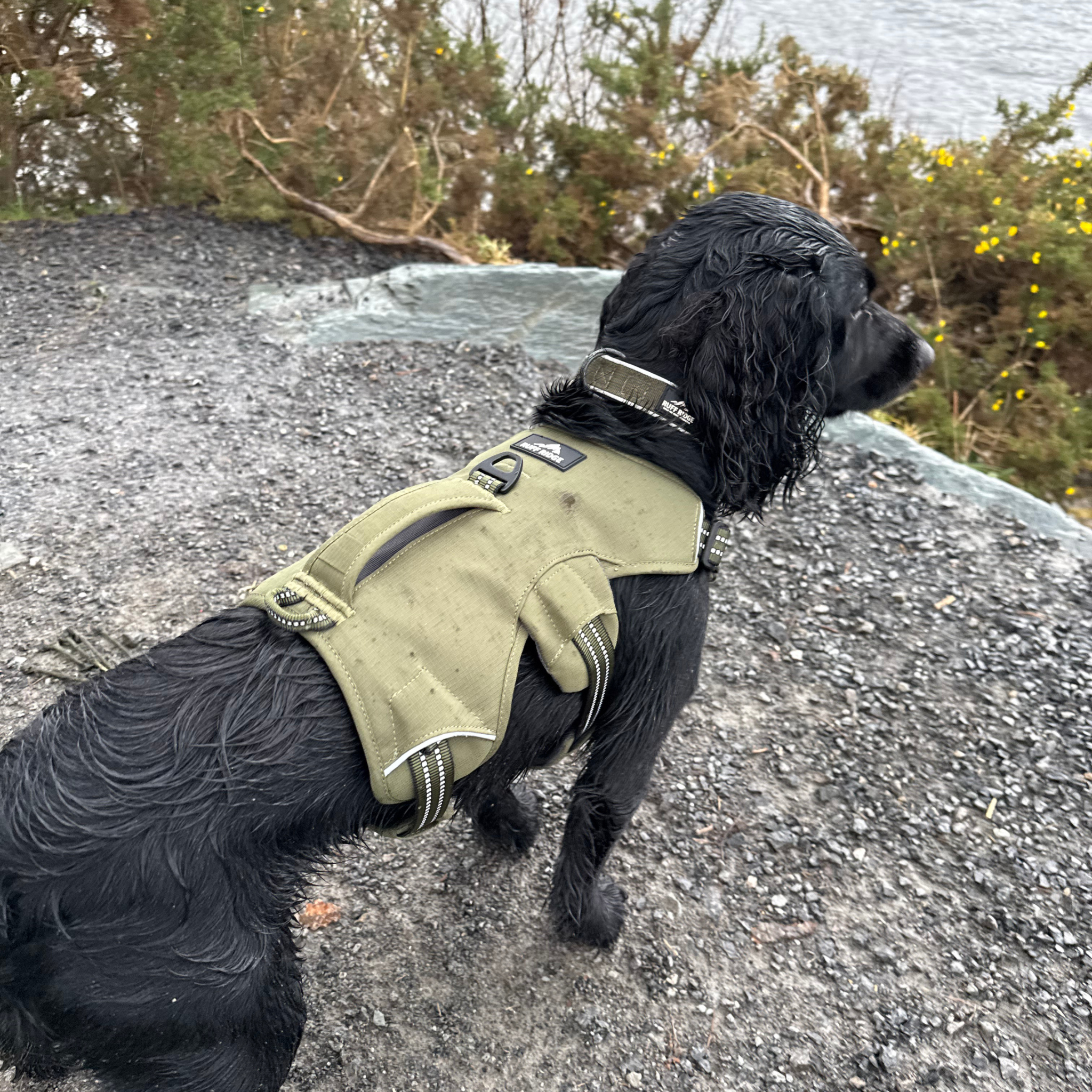 Expedition PRO™ Harness